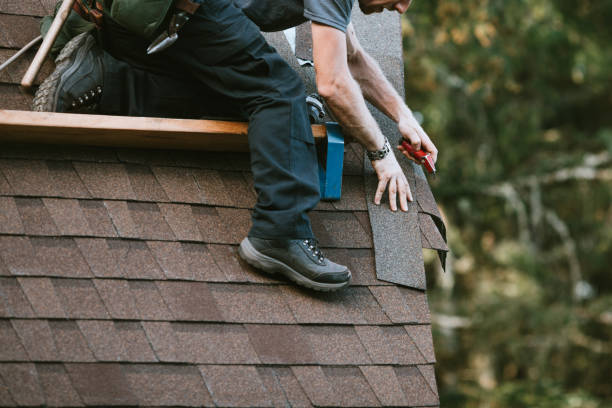 Best Flat Roof Repair Services  in Pueblo, CO